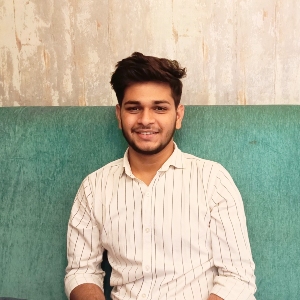 Hansraj Meena